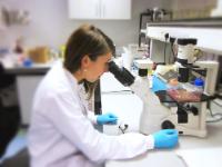 Research Lab