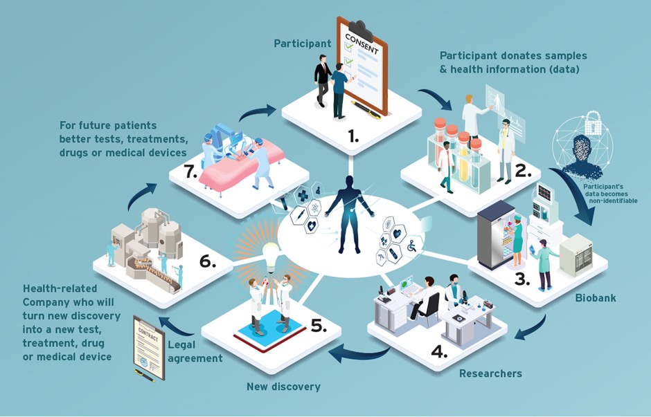 the process of biobanking