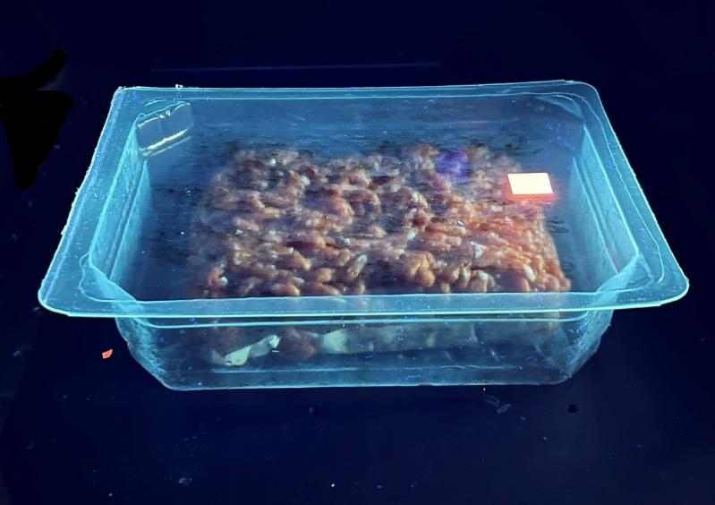 Picture shows the sensor being illuminated inside a pack of food. The sensor is created by a food safe ink that is printed directly onto the inside of food packaging. The Senoptica sensor measures the oxygen level inside the food packaging in real time. Image: Senoptica.