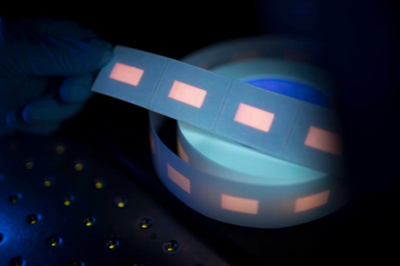 The food safe ink can also be printed onto labels for manual application and allow oxygen measurement in real time. Here, pink labels are visible on blue tape. Image: Tristan Hutchison.