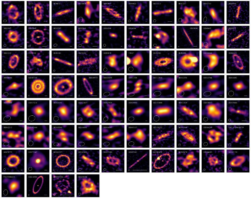 All 74 exocomet belts as imaged in this study