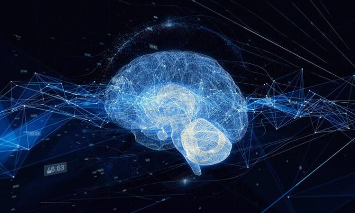 Graphic image of brain