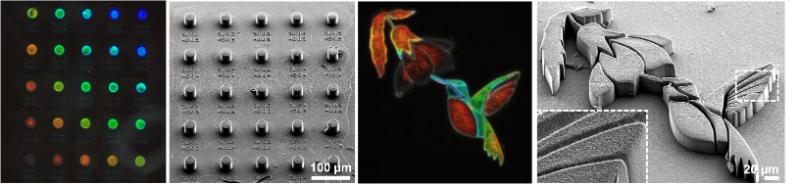 Microscopic pixels can be fabricated using direct laser writing, demonstrating the ability to achieve wide gamut structural colours, and these can be combined into microscopic works of art, such as in the tiny hummingbird art shown here. Image licensed via Creative Commons CC BY license. Credit must be given to Prof. Colm Delaney.