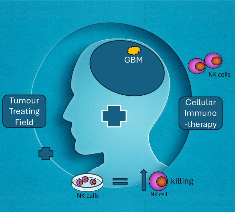 An infographic depicting the study design.