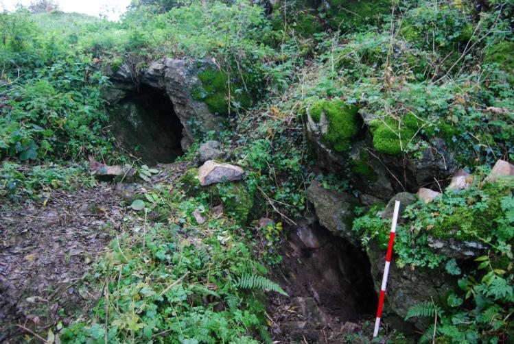 Kiluragh Cave surrounded by deep green foliage.