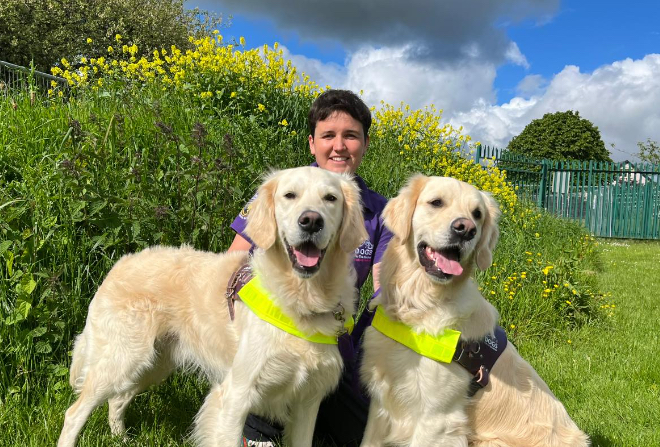 Two assistance dogs with their handler.