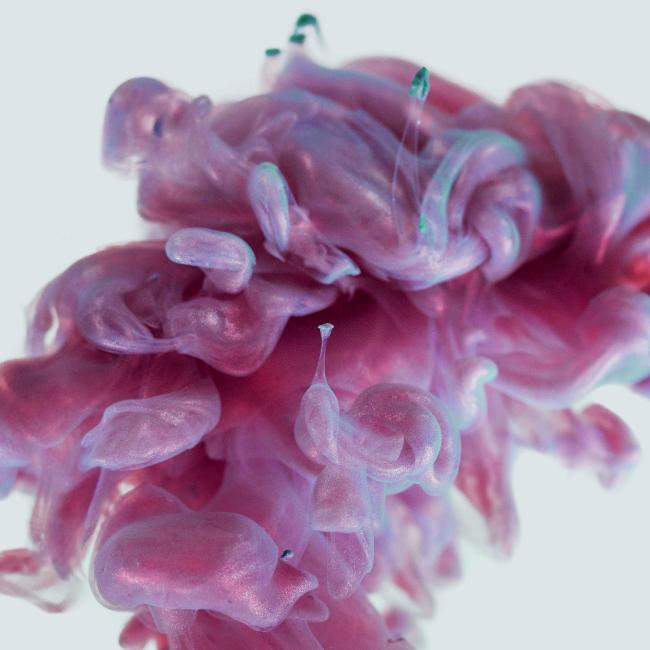 A false colour image of a brain and brain stem