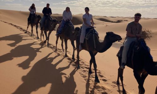 Five people sitting on camels walking in a row in the desert