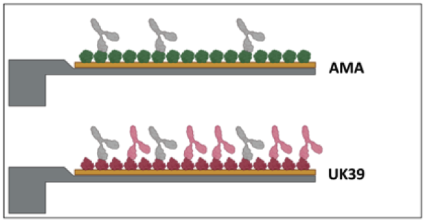 ACB_Differential.