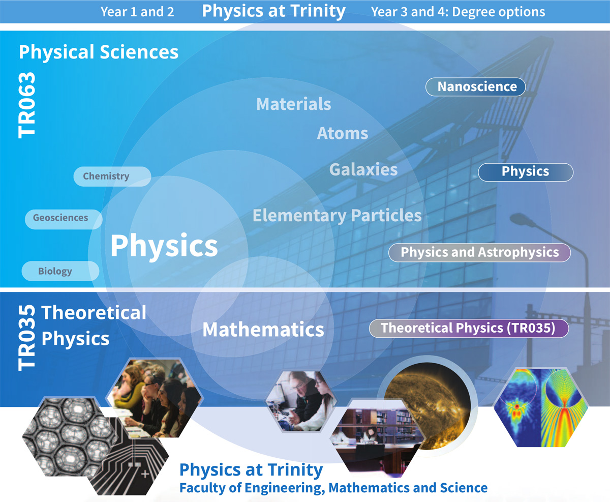 A general graphic showing the courses available in TCD