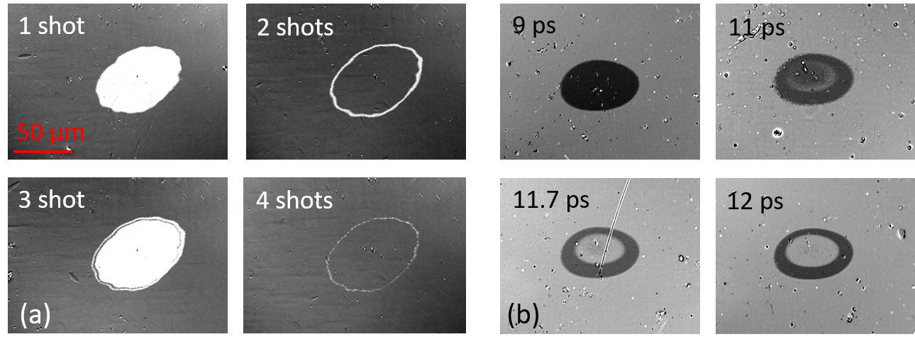 Fig.1. (a) Toggling of magnetisation observed by Kerr microscopy after irradiation by multiple pulses delayed by 1 s [1]. (b) Ultrafast toggling with two pulses delayed by 9 to 12 ps [3].