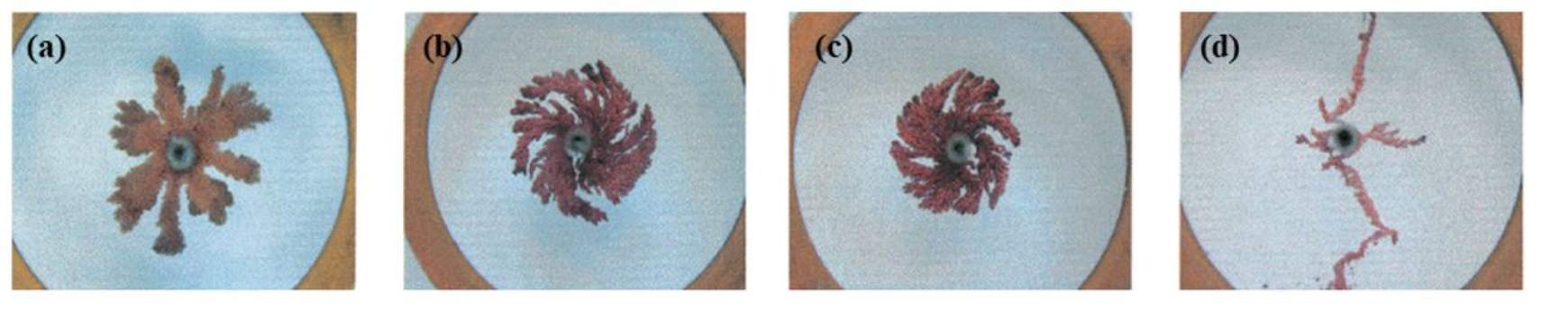 Fractal electrodeposits These zinc electrodeposits are grown with no field (a), a perpendicular field upwards (b) or downwards (c) and a horizontal field (d).