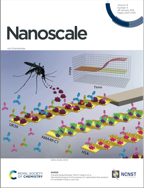 Front cover of Namoscale