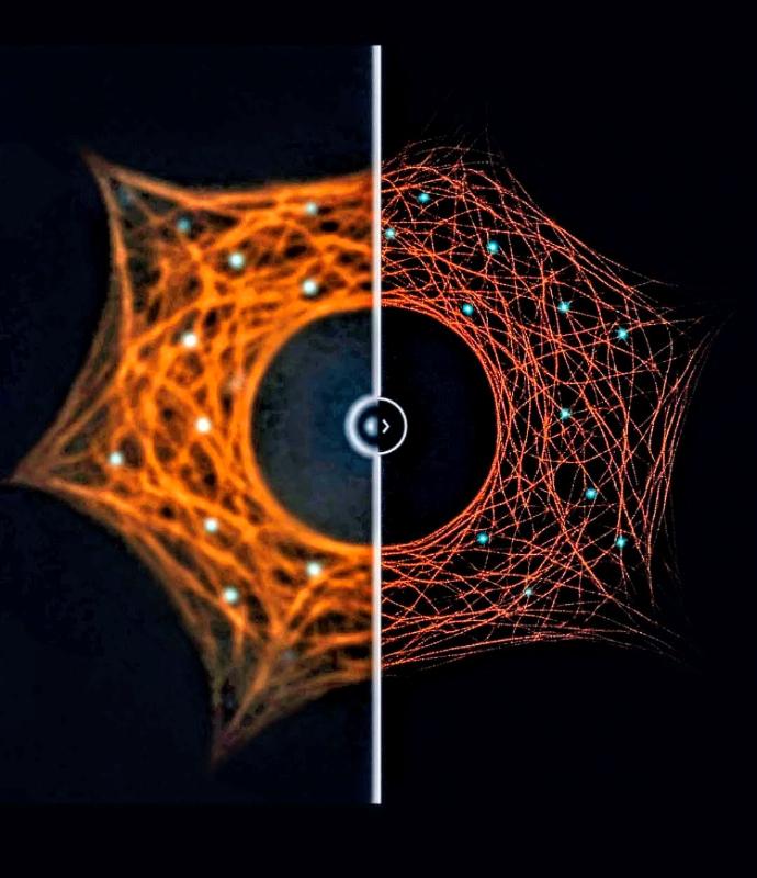 Martin Imaging Clarity