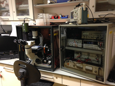 Dr Nigel Caroll Nanobio Lab image