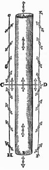 Illustration of a Dipole