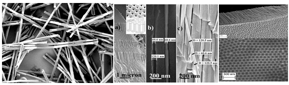 Two images of Template-grown nanowires