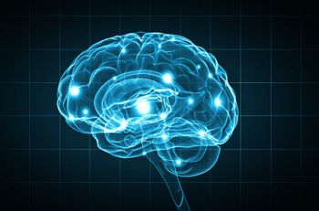 Brain