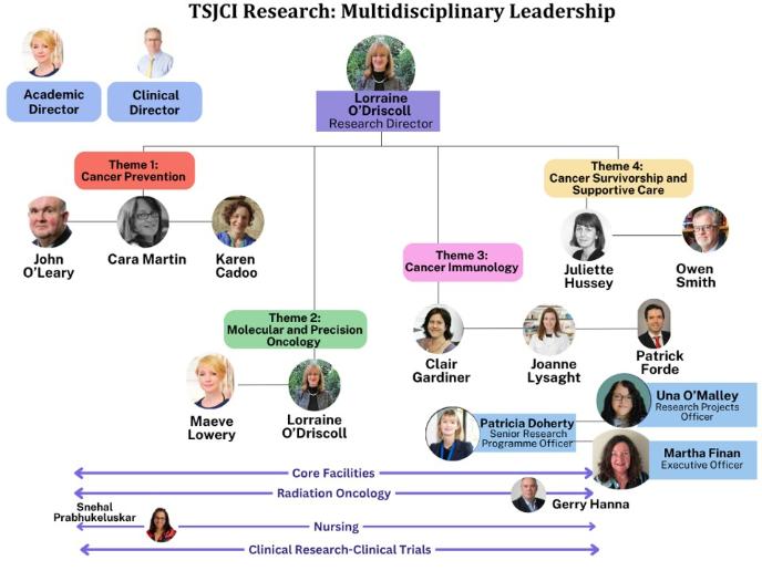 Cancer theme organogram
