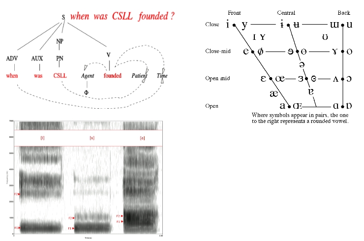 The science of language component covers all aspects of the scientific study of language