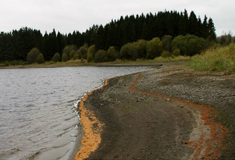 Hydromorphological alteration and water level fluctuations