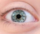Variation in the framerate of visual perception