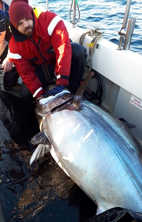 Tuna on a boat