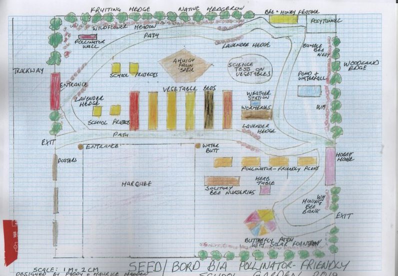 A to-scale diagram of Dr Madden's garden.