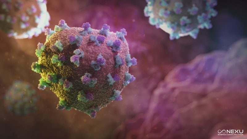 The Hepatitis C Virus (HCV), circulating in the blood before it infects cells.