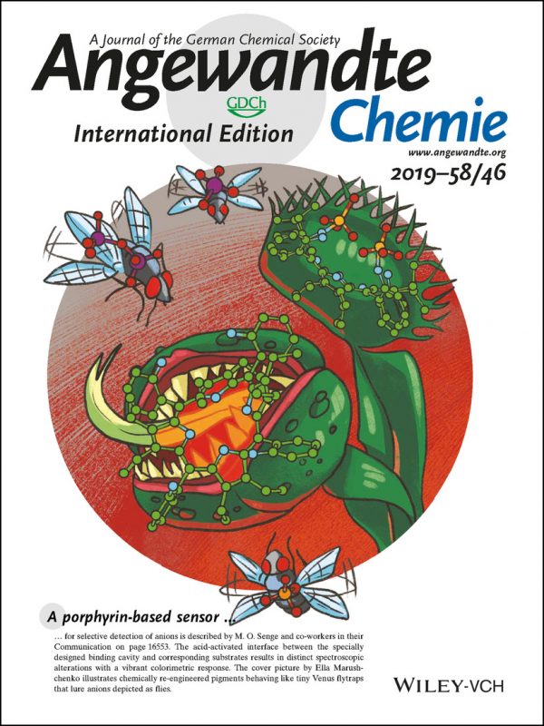 The research is featured as a hot paper and has also been selected as the journal’s cover illustration.