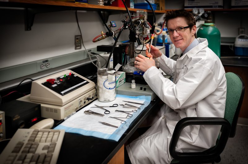 Dr David Loane led the exciting new research.