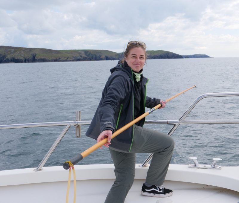 PhD Candidate Haley Dolton in West Cork, preparing to tag a basking shark.