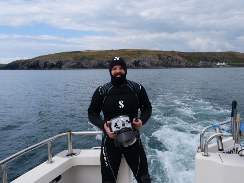 Dr Nick Payne in West Cork, where Ireland's gentle giants visit for a few months each year.
