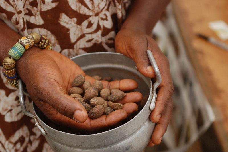 Shea nuts being extracted in Africa. Image credit: Erik Hersman.
