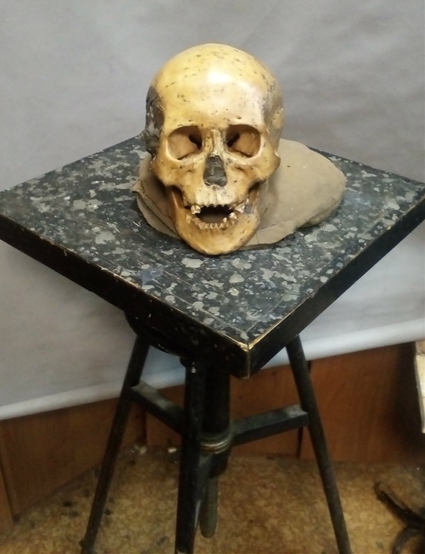 One of the skulls from Devil's Gate, from which the ancient DNA was extracted. Image Credit: Elizaveta Veselovskaya.