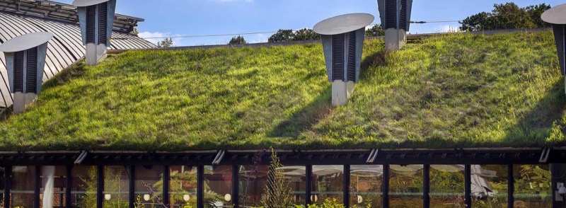This image shows a 'green roof' on a public library.