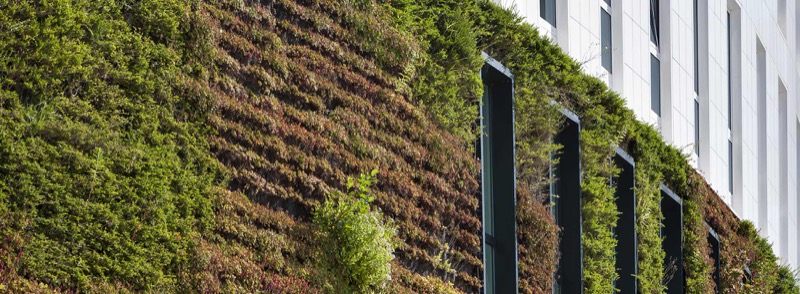 This 'green wall' provides another example of an urban-based nature solution that will help to bring nature back into cities. 