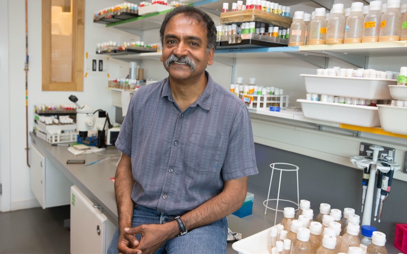 Professor Mani Ramaswami