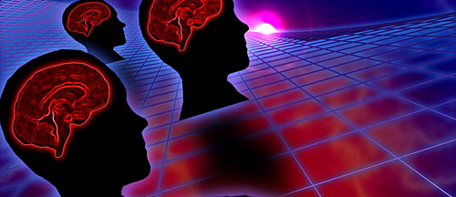 Image of the brain