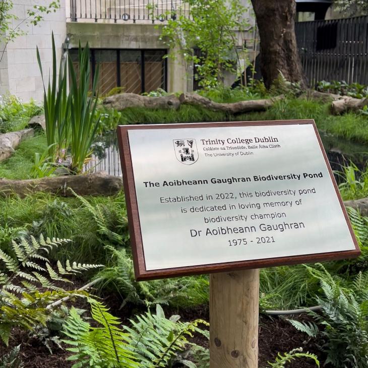 Aoibheann Gaughran wildlife pond dedication plaque