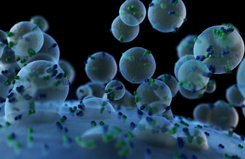 Image of cells