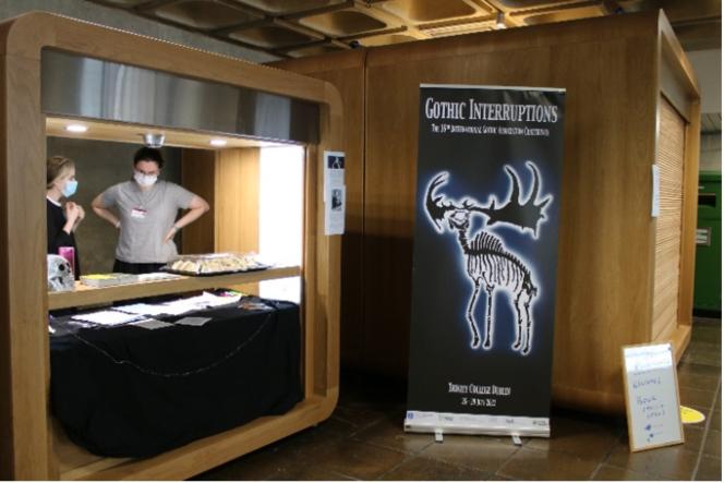 A poster for the Gothic interruptions conference