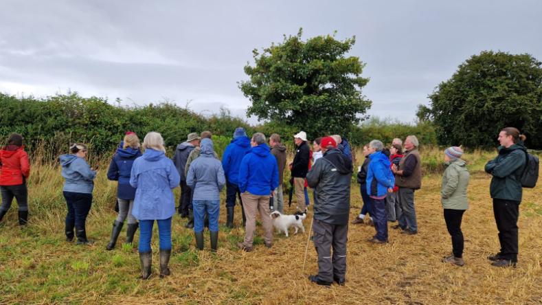 Researchers, farmers and other stakeholders in the RestPoll project on a participant farm in Athy, Co. Kildare