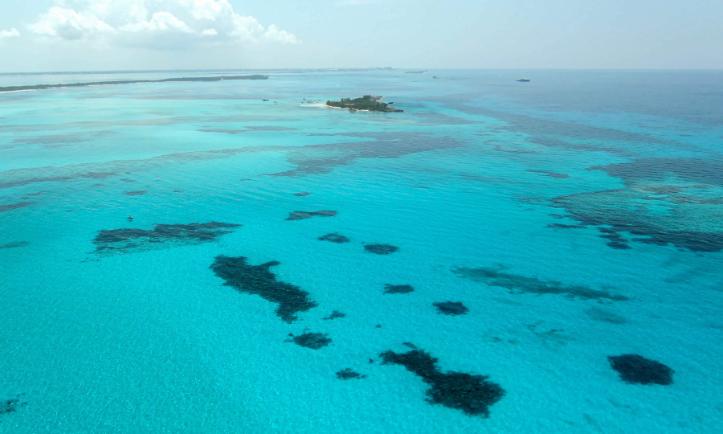 An aerial shot of a seagrass meadow in beautiful azure sea in The Bahamas.