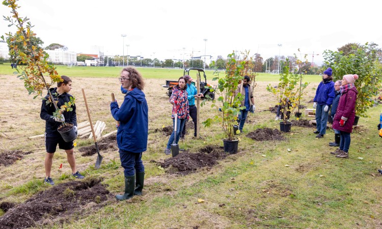 Staff and students in a field planting trees