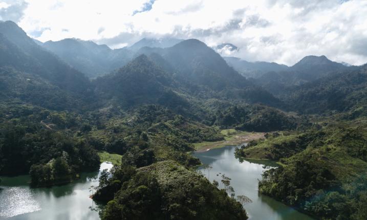 A beautiful vista of Costa Rican rainforest and wetlands