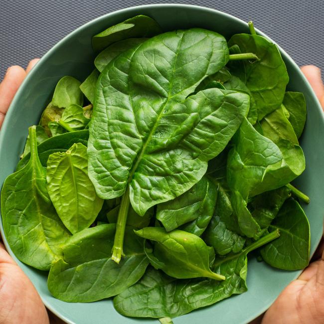 A bowl of leafy green spinach leaves