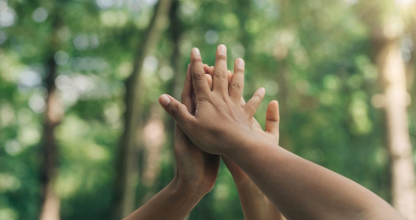 Hands meeting against a leafy backdrop